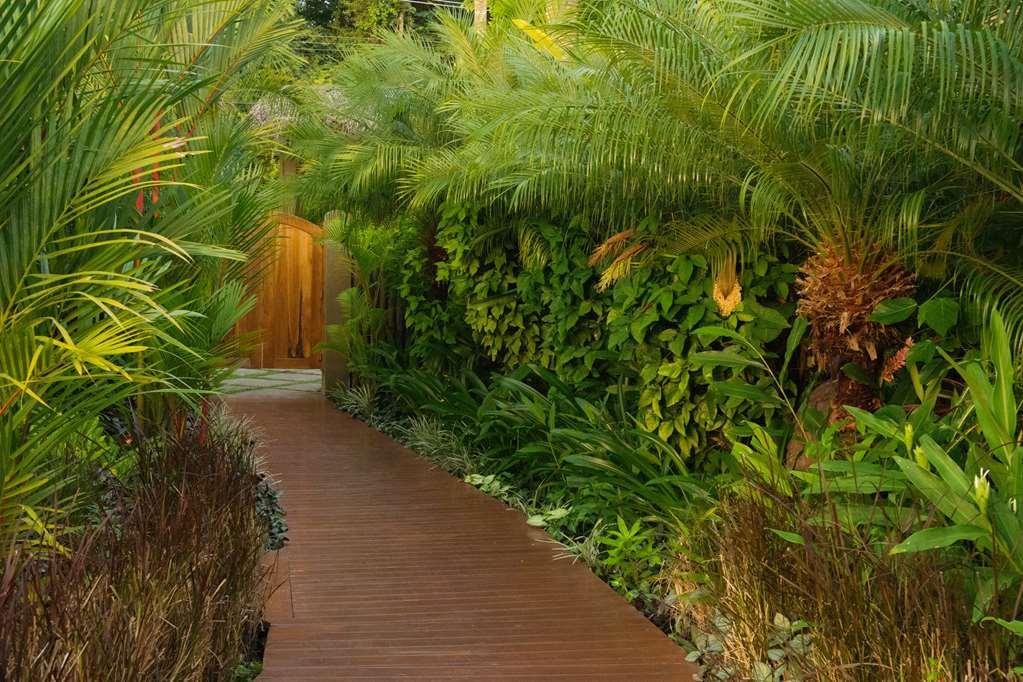 Playa Santa Teresa  Casa Chameleon Hotel Mal Pais - Adults Only מתקנים תמונה