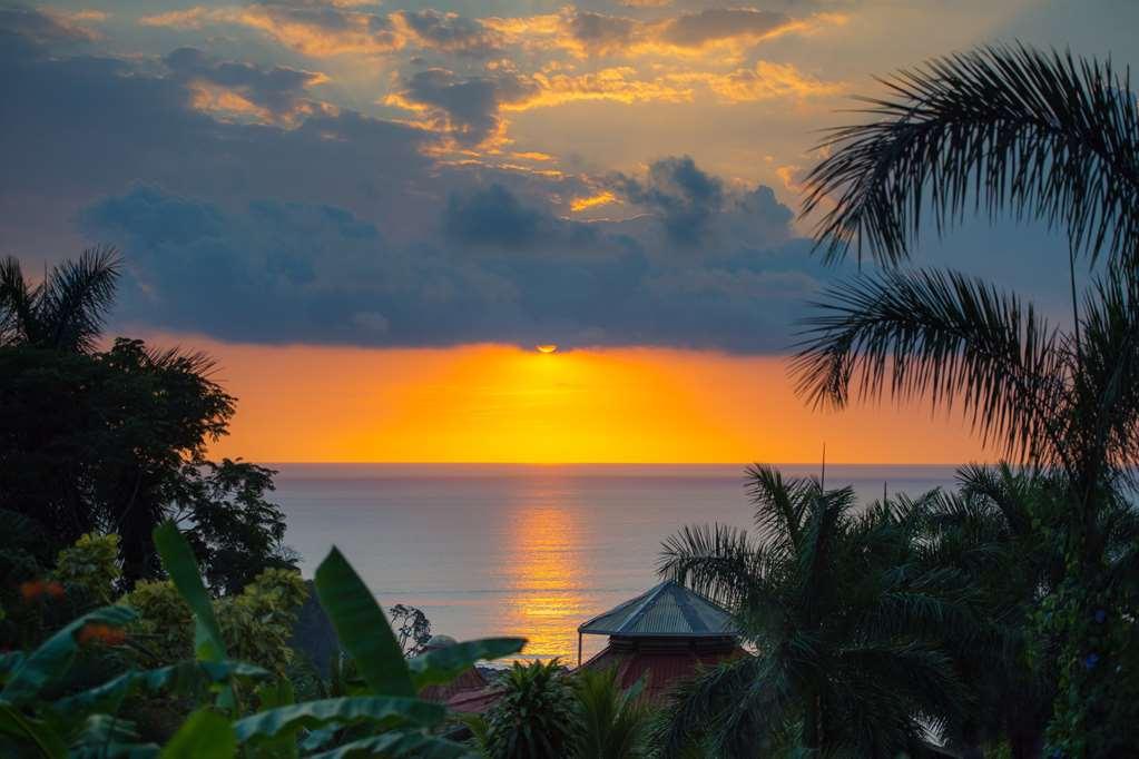 Playa Santa Teresa  Casa Chameleon Hotel Mal Pais - Adults Only מתקנים תמונה