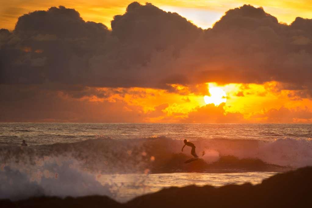 Playa Santa Teresa  Casa Chameleon Hotel Mal Pais - Adults Only מתקנים תמונה